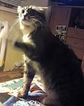     
: DSC00271.JPG
: 16
:	67.5 
ID:	3023800