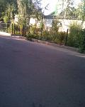     
: Фото026.jpg
: 24
:	111.9 
ID:	3024480