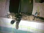     
: y_37118398.jpg
: 50
:	117.7 
ID:	3027114