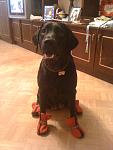     
: IMG_0818.jpg
: 32
:	77.7 
ID:	3029971