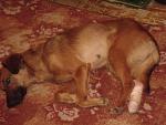     
: DSC03785a.JPG
: 45
:	51.9 
ID:	3030448