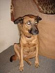     
: DSC06214b.JPG
: 33
:	50.2 
ID:	3030467