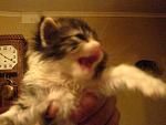     
: DSC06198d.JPG
: 39
:	50.3 
ID:	3030486