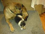     
: DSC06202f.JPG
: 47
:	56.4 
ID:	3030509