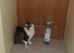     
: DSCF3051iii.JPG
: 59
:	26.9 
ID:	3030583