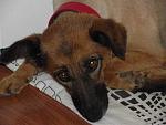     
: DSCF3048mhvglhjk;.JPG
: 40
:	47.7 
ID:	3031769