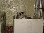     
: maya.jpeg
: 65
:	72.7 
ID:	303202