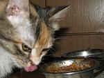     
: IMG_1739.JPG
: 62
:	65.6 
ID:	303209