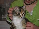     
: IMG_1726.JPG
: 69
:	66.4 
ID:	303210
