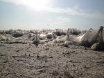     
: DSC02936.jpg
: 163
:	111.7 
ID:	3032965