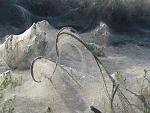     
: IMG_0825.jpg
: 167
:	212.4 
ID:	3032967