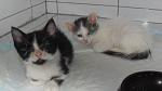     
: SDC14620.JPG
: 50
:	261.2 
ID:	3033824