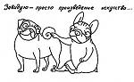     
: x_55cf0625.jpg
: 87
:	15.8 
ID:	3035064
