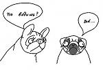     
: x_98a31278.jpg
: 48
:	16.7 
ID:	3035065