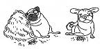     
: x_832738a4.jpg
: 59
:	22.5 
ID:	3035066
