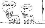     
: x_a92df62a.jpg
: 73
:	25.0 
ID:	3035067