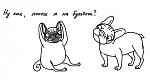     
: x_82202206.jpg
: 71
:	17.9 
ID:	3035070