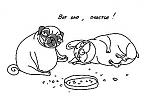     
: x_a2bd6d69.jpg
: 69
:	19.3 
ID:	3035072