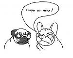     
: x_cf51ea1e.jpg
: 84
:	17.4 
ID:	3035074