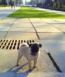     
: x_598b167b.jpg
: 65
:	39.3 
ID:	303744