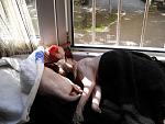     
: DSCN3848.jpg
: 72
:	161.5 
ID:	3037802