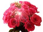     
: 5af54ecc9079.jpg
: 10
:	35.4 
ID:	3038118