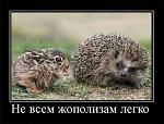     
: 1a6f9a318b90.jpg
: 7
:	65.7 
ID:	3039239
