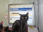     
: P8312174.jpg
: 23
:	123.3 
ID:	3041225