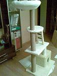     
: 31082011(007).jpg
: 188
:	133.2 
ID:	3043009