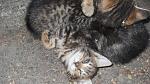     
: SDC14629.jpg
: 45
:	102.2 
ID:	3045597