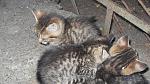     
: SDC14628.jpg
: 42
:	102.7 
ID:	3045598
