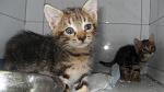     
: SDC14685.jpg
: 48
:	53.2 
ID:	3045610