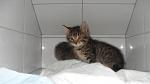     
: SDC14683.jpg
: 55
:	31.5 
ID:	3045611