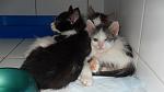     
: SDC14696.JPG
: 38
:	287.7 
ID:	3045619