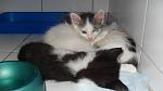     
: SDC14688.jpg
: 33
:	43.7 
ID:	3045620