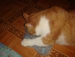     
: DSC03249.JPG
: 22
:	78.3 
ID:	3046766