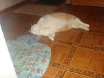     
: DSC03252.JPG
: 21
:	94.0 
ID:	3046769