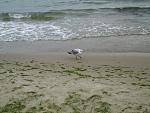     
: IMG_4592.jpg
: 38
:	148.0 
ID:	3049719