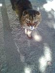     
: Фото0503.jpg
: 120
:	120.6 
ID:	3050639