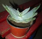     
: IMG_1494.jpg
: 59
:	79.0 
ID:	3057789