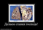     
: 612430_delaem-stavki-gospoda.jpg
: 15
:	27.9 
ID:	3064232