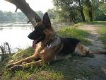     
: x_ffa5433e.jpg
: 41
:	106.0 
ID:	3069063
