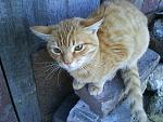     
: DSC00124.jpg
: 24
:	127.4 
ID:	307156