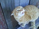     
: DSC00125.jpg
: 24
:	122.7 
ID:	307158