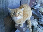     
: DSC00123.jpg
: 17
:	131.0 
ID:	307159