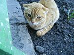     
: DSC00126.jpg
: 19
:	143.3 
ID:	307162