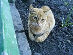     
: DSC00127.jpg
: 19
:	135.4 
ID:	307165