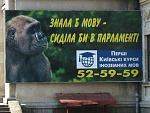     
: 1240597484_foolish-ads-002.jpg
: 50
:	50.3 
ID:	307227