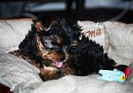     
: DSC_0583_1.jpg
: 92
:	136.2 
ID:	3072911