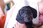     
: DSC_7331.jpg
: 31
:	76.7 
ID:	3074372